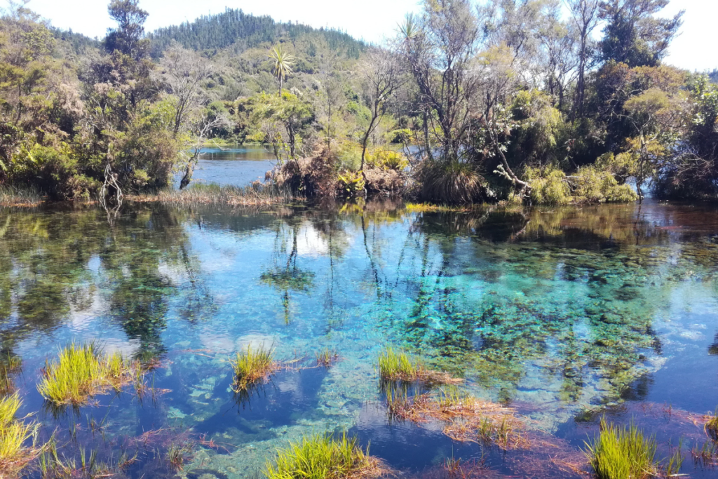 Te Waikoropupu Springs in nuova zelanda del sud, foto scattata da una travel designer di viaggi e cammini su misura